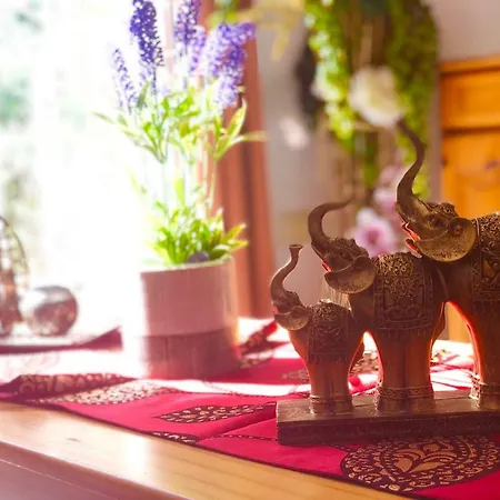 Casco La Estrella, Cerca De Garachico