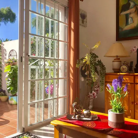 Casco La Estrella, Cerca De Garachico * Лос-Силос