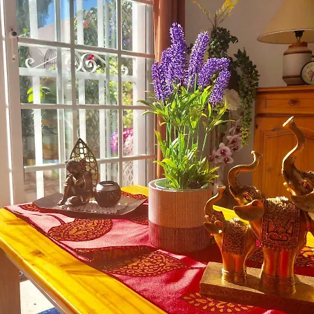 Casco La Estrella, Cerca De Garachico Daire *