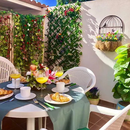 Casco La Estrella, Cerca De Garachico Лос-Силос