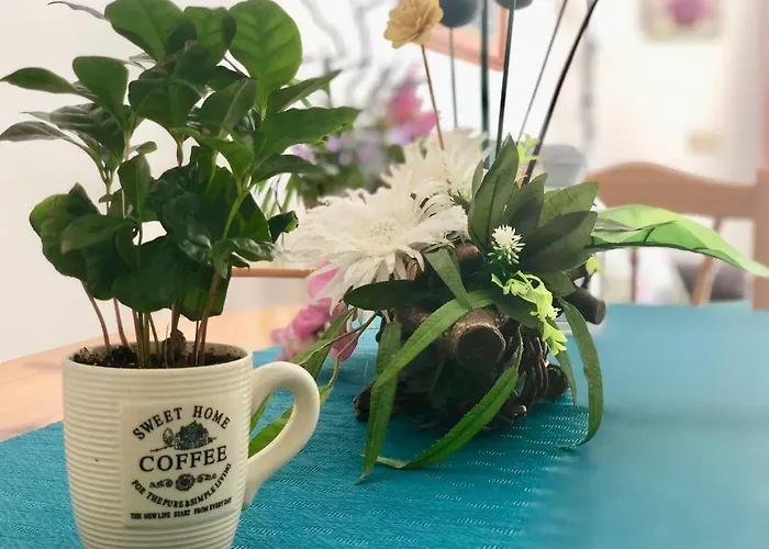 Casco La Estrella, Cerca De Garachico *