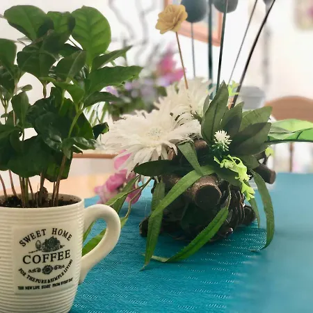 Casco La Estrella, Cerca De Garachico *